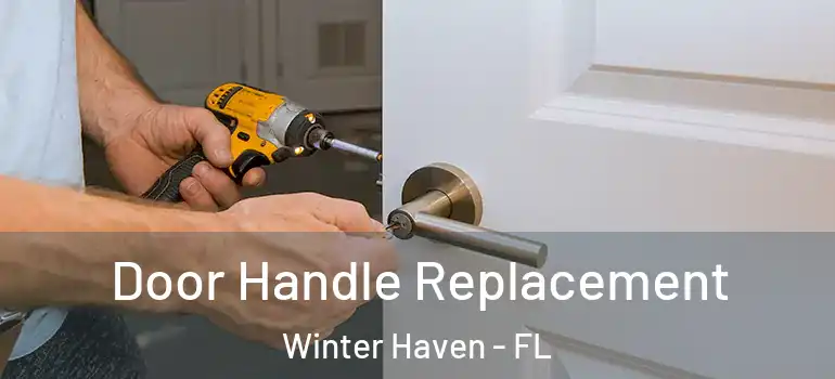  Door Handle Replacement Winter Haven - FL