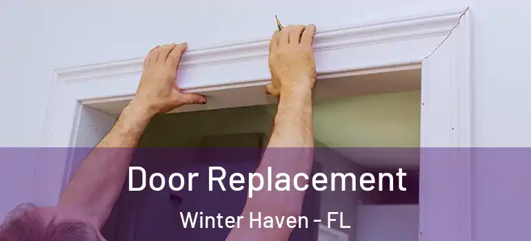  Door Replacement Winter Haven - FL