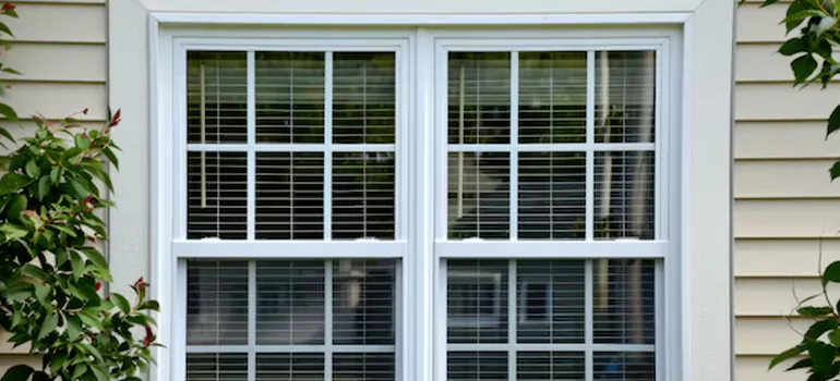 Custom Double Hung Windows in Winter Haven, FL