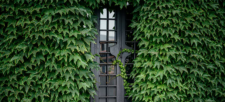 Garden Gate Repair in Winter Haven, FL