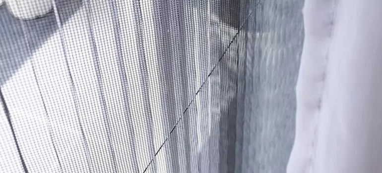 Fixing Screen Window Mesh in Winter Haven, FL