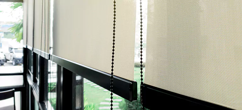 Blackout Window Shades in Winter Haven, FL