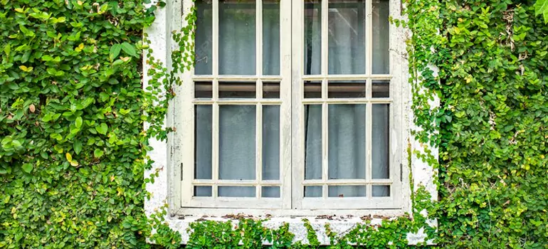 Garden Window Repair Near Me in Winter Haven, FL