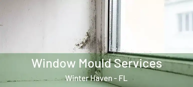  Window Mould Services Winter Haven - FL