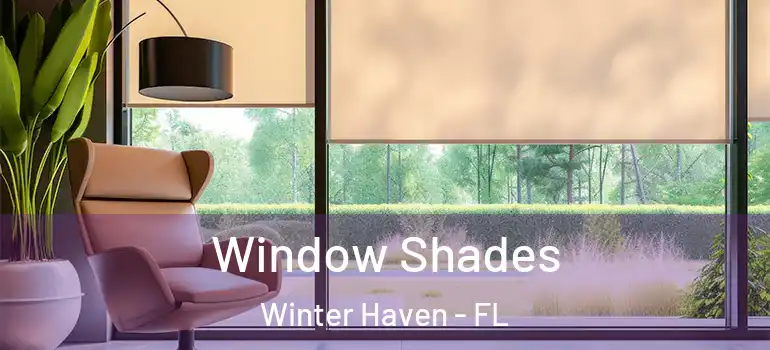  Window Shades Winter Haven - FL